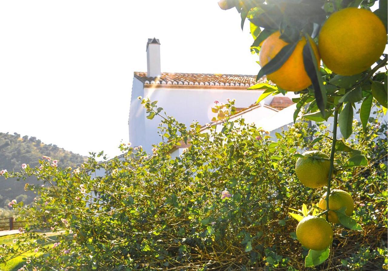 Cortijo Las Caballerias Alora Esterno foto