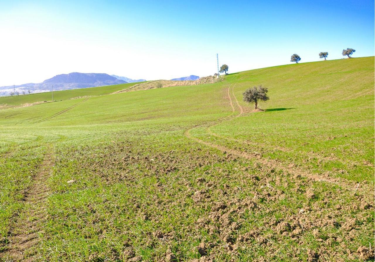 Cortijo Las Caballerias Alora Esterno foto